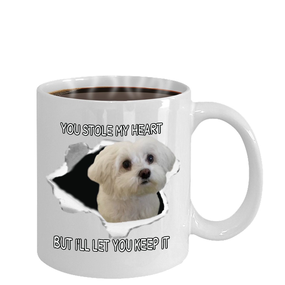 How Do I Keep My Maltese White