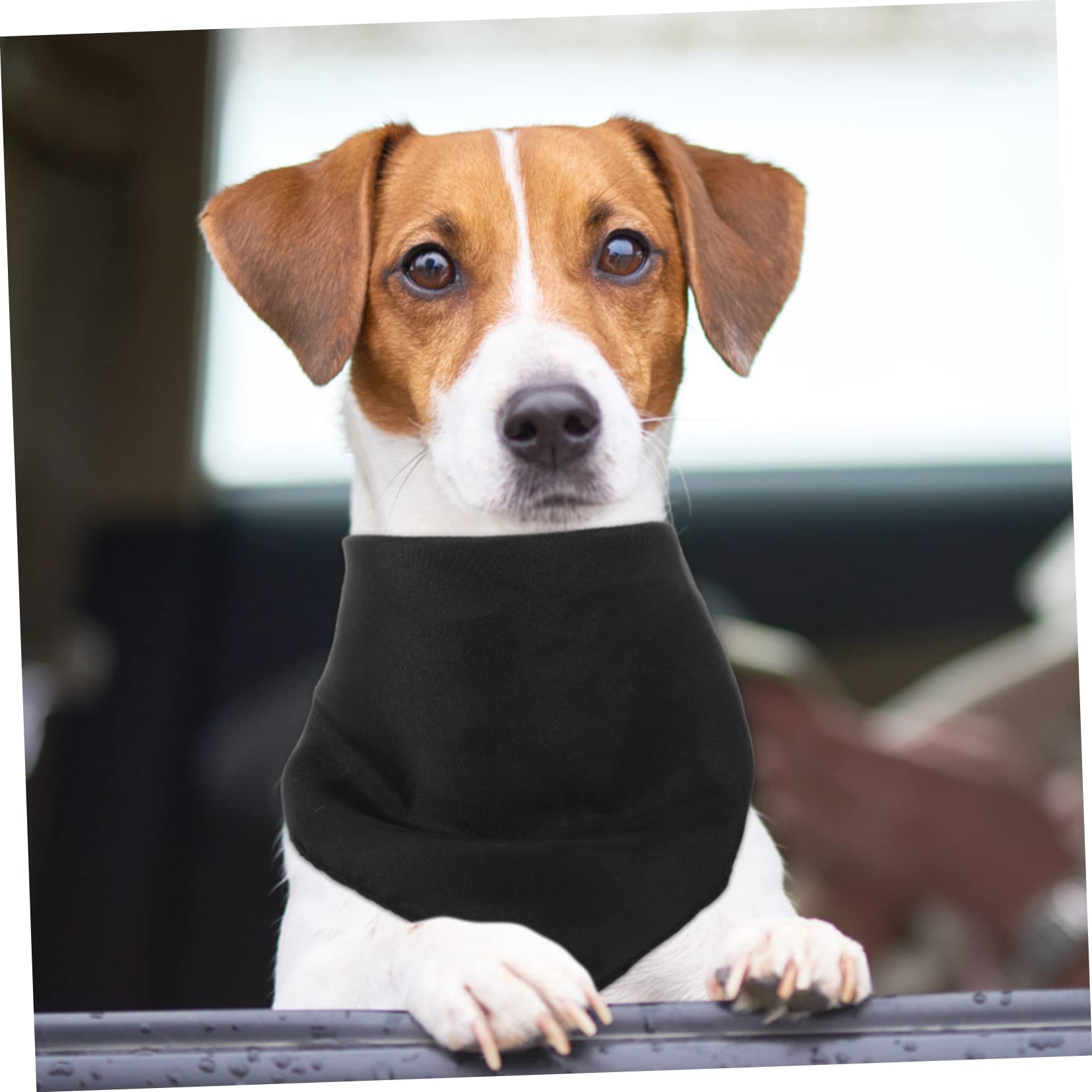Didiseaon 20pezzi Bandana per Cani Lavabile Sciarpe Triangolari Regolabili per attività all Aperto Accessorio Comfort per Animali Domestici
