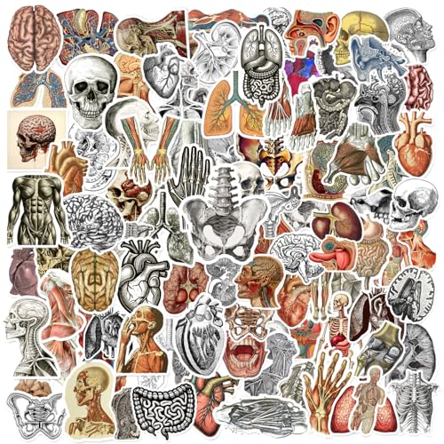 Lot de 100 autocollants vintage anatomie squelette humain en vinyle imperméable pour bouteille d'eau, ordinateur portable, bagages, scrapbooking, cadeaux pour étudiants, enseignants, anatomie humaine