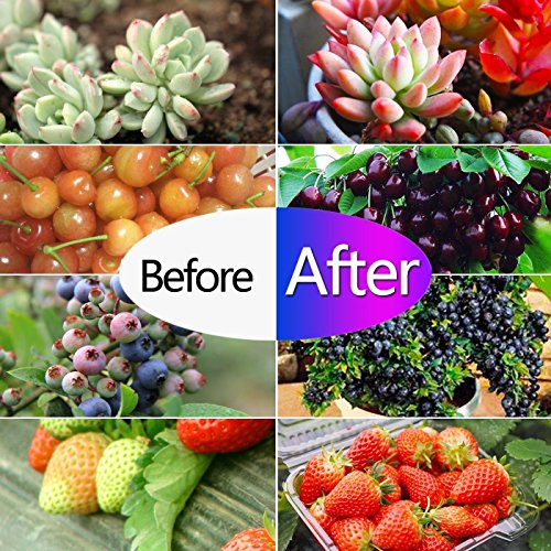 Aokey - Lampada a LED per crescita piante, ideale