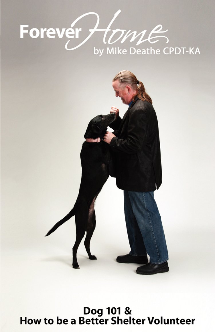 Forever Home...: Dog Training 101 & How To Be A Better Shelter Volunteer