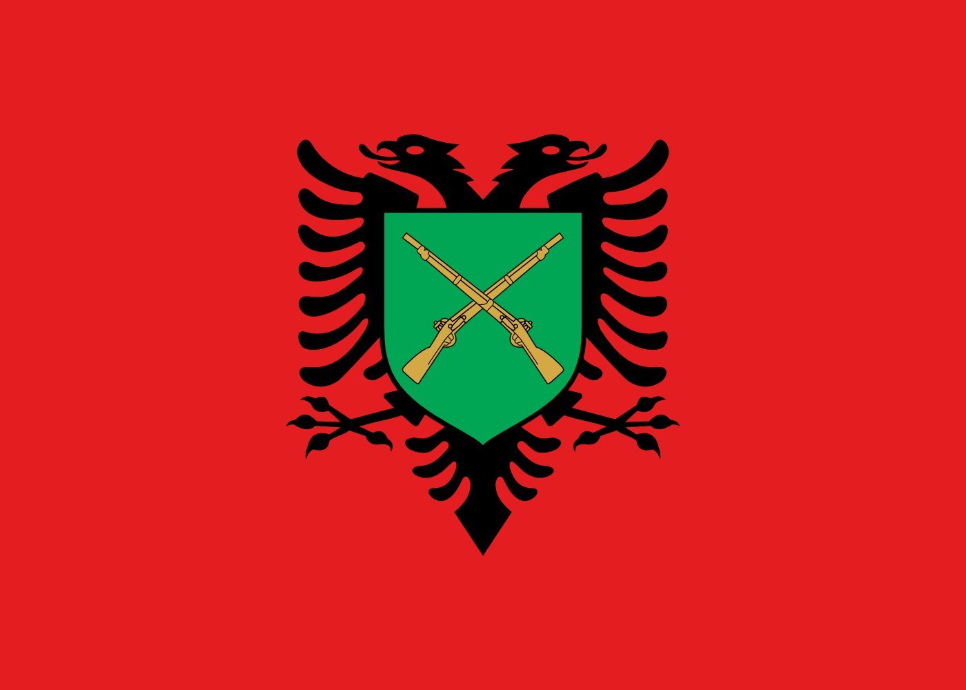 Drapeau Forces terrestres albanaises avec finitions de prestige