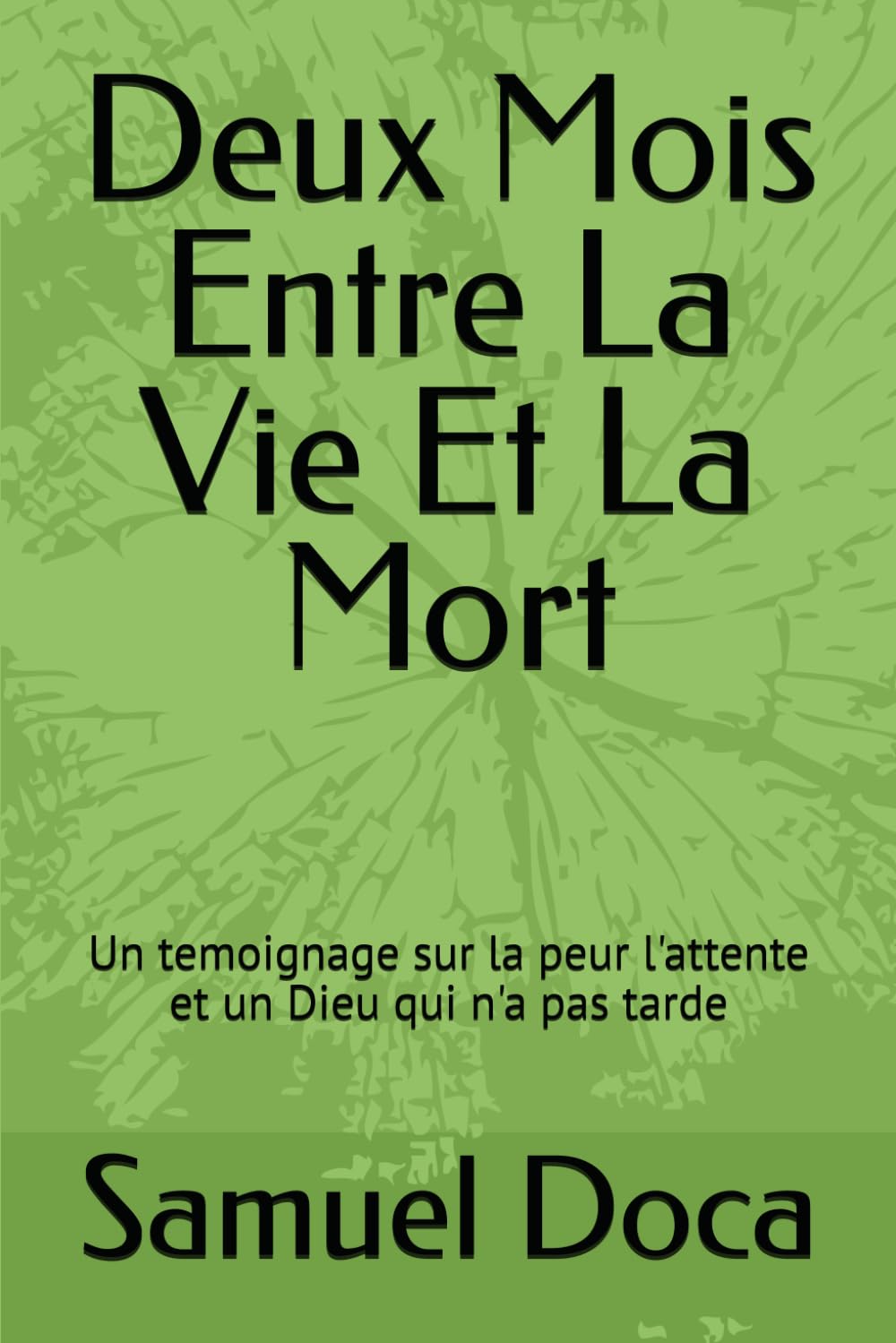 Deux Mois Entre La Vie Et La Mort: Un temoignage sur la peur l'attente et un Dieu qui n'a pas tarde