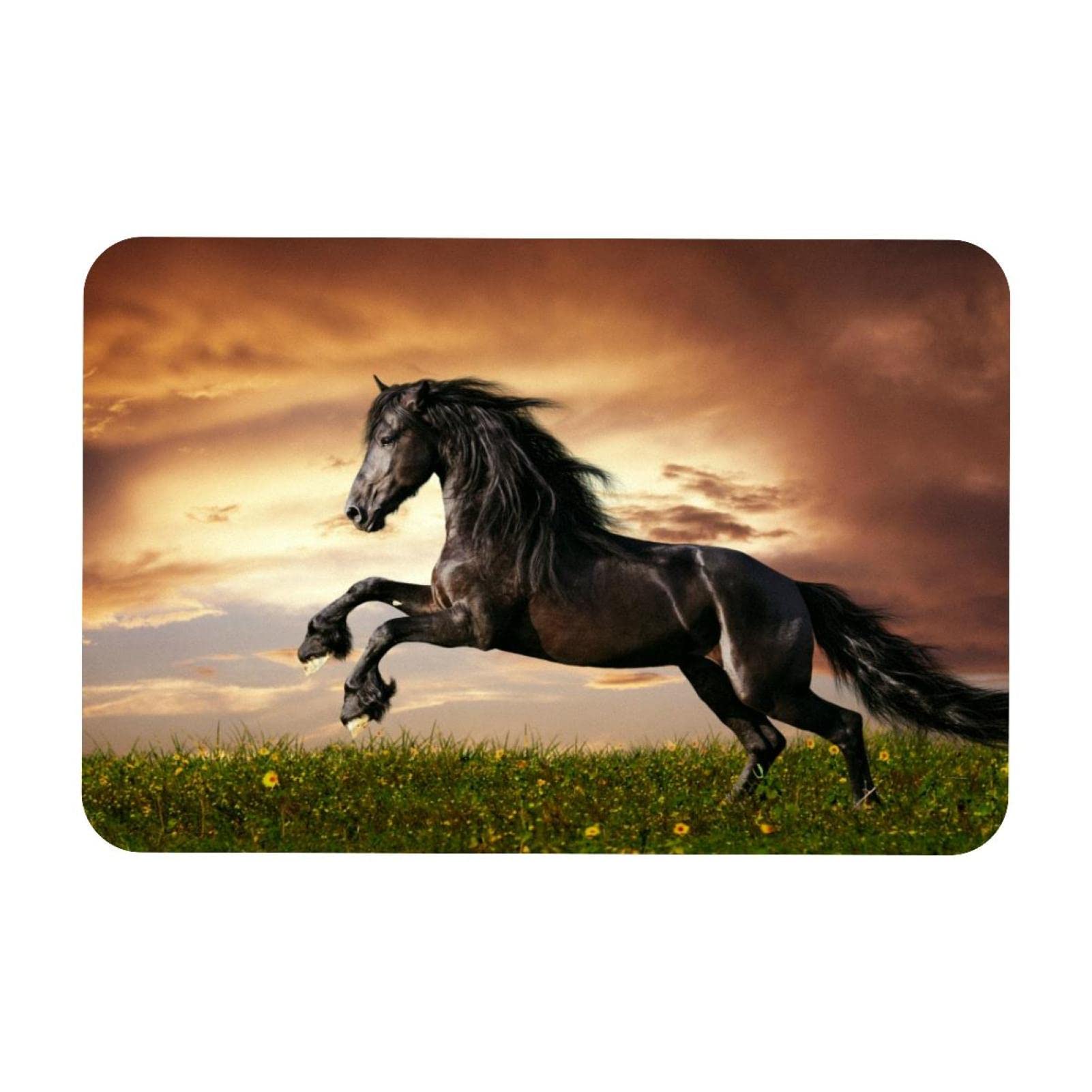 Felpudo decorativo con galope de caballo frisio, 50,8 x 78,7 cm, rectangular, antideslizante, para interiores, exteriores, jardín