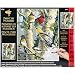 Plaid Creates Paint by Number Kit (16 by 20-Inch), 22078 Song Birds