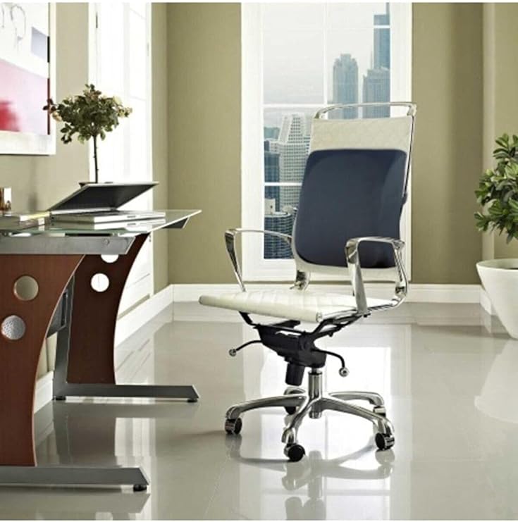 Whiteblanco Orthopedic Office Chair Waist Support Pillow Cushion Backrest Pillow
