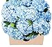Farm2Door Valentine's Day Collection Fresh Blue Hydrangeas, 15 Count
