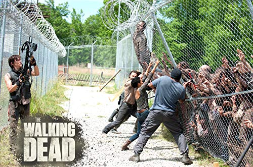 The Walking Dead - Staffel 4 - Uncut (DVD Alemania) 5