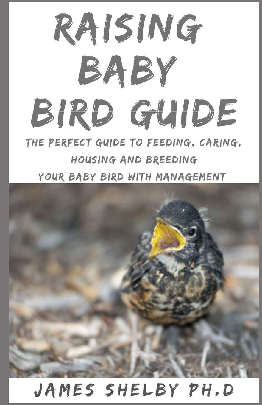 Raising Baby Bird Guide: The Perfect Guide To Feeding, Caring, Housing And Breeding Your Baby Bird With Management