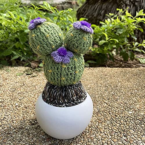 Handmade Knitted Prickly Cactus Crocheted...