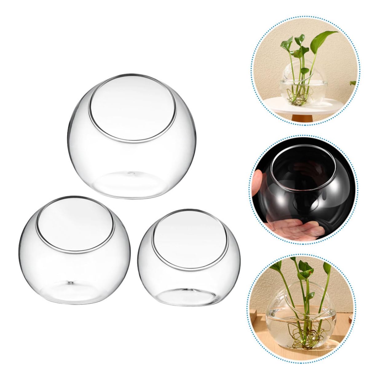 INOOMP Set da 3 Terrari in per Piante Grasse e Bromelie, Design Moderno Inclinato, Apertura Facile senza Bave, per Decorazioni Casa e Regali