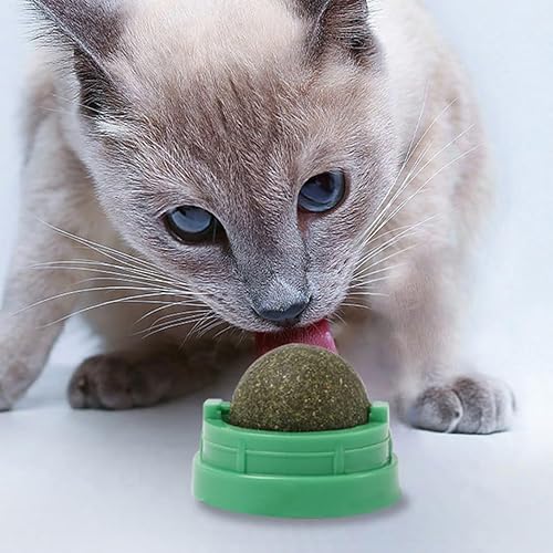 Miniatura 3 de Invitado GATA Bola Menta Bolas de Menta Interactivo gato Juguete Jugando a masticar Limpieza de Dientes 2pcSpompón