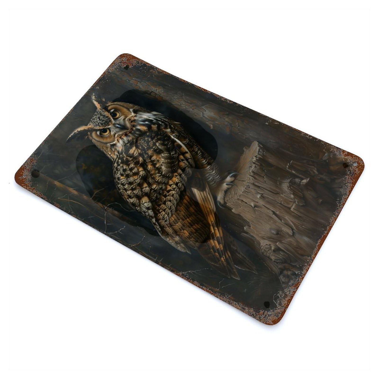 Magical Cute Owl Bird Decorative Tin Sign 11.8"x7.9", for Bistro, Counter And Cafe Decor, Novelty Wall Decor