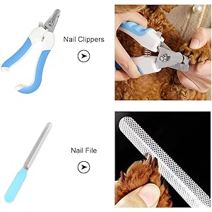 Professional Dog Grooming Scissors Kit Safety Round Tip with Dog Nail Clippers Stainless Steel Comb Thinning Scissors Curved Scissors Straight Scissors 6 in 1 Pet Grooming Set for Dogs Hair Care