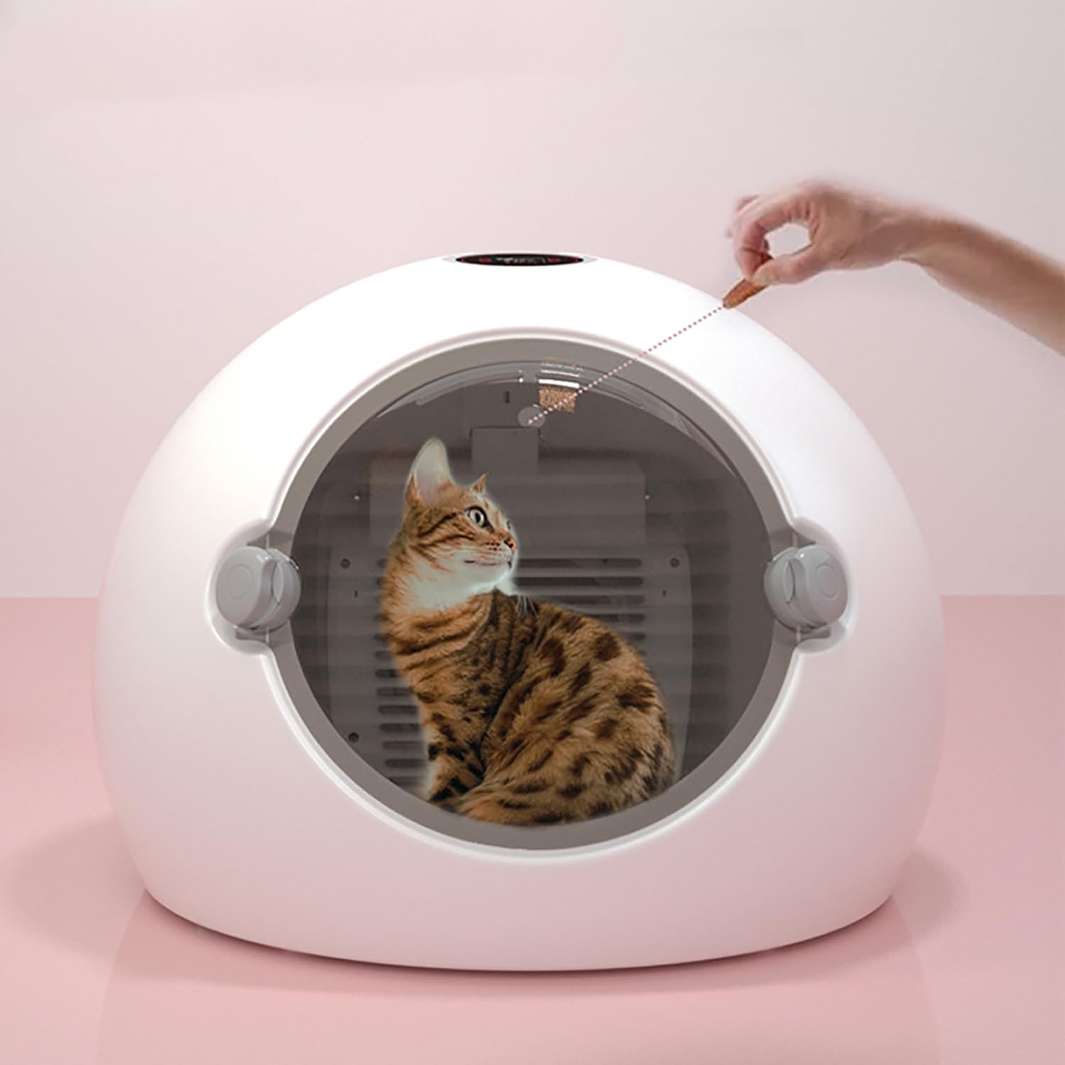 Scatola per Asciugatura Automatica per Animali Domestici, Asciugacapelli Intelligente per Toelettatura Animali Domestici con Schermo LCD a Colori, Asciugatura Professionale a 360°, Basso Rumore