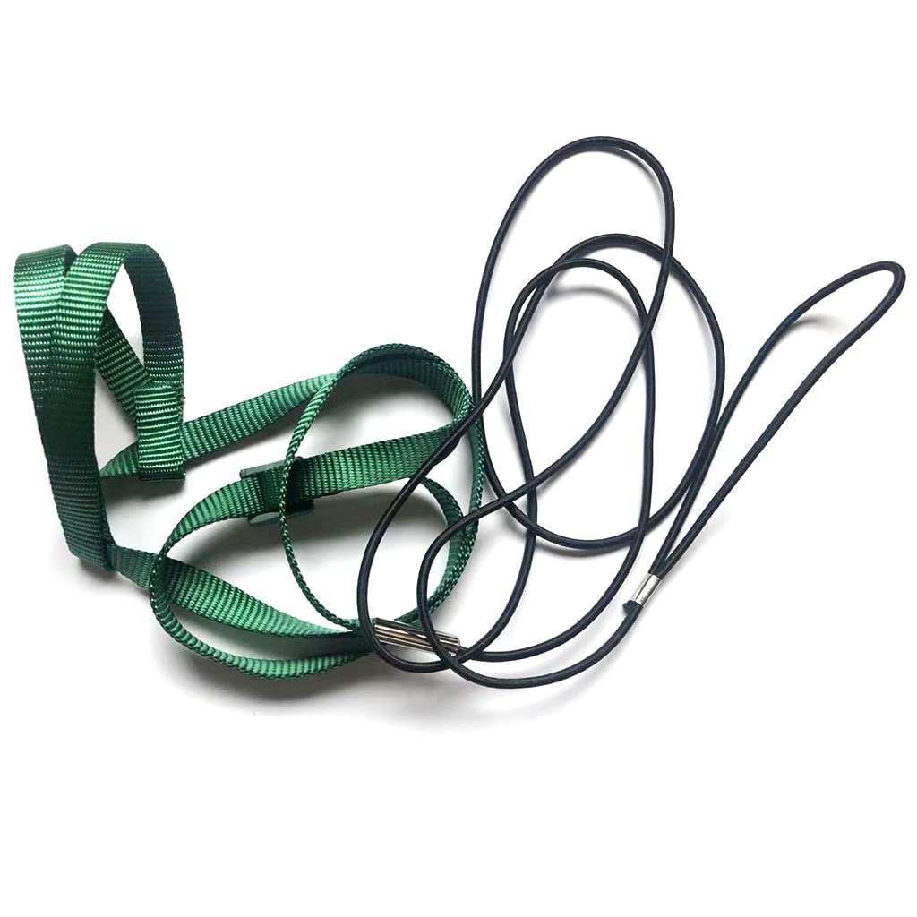 Parrot Outdoor Activities Flying Traction Straps Band Bird Harness Leash Supplies Adjustable Anti-Bite Training Rope