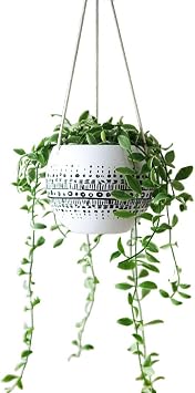 KiaoTime Ceramic Hanging Planter for Indoor Outdoor, Decorative Boho Flower Green Grass Plant Succulent Air Plants Hanging Plant Pots Holder