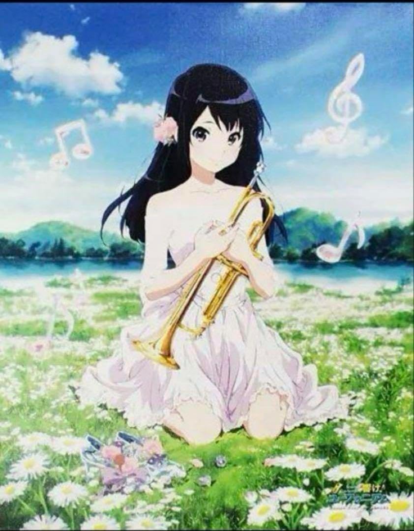 響け!ユーフォニアム キャンバスアート　高坂麗奈 Amazon.co.jp: ポスター アートパネル 装飾画 響け