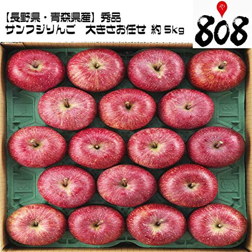 y쌧EXYzGi TtW 傫܂ 5kg