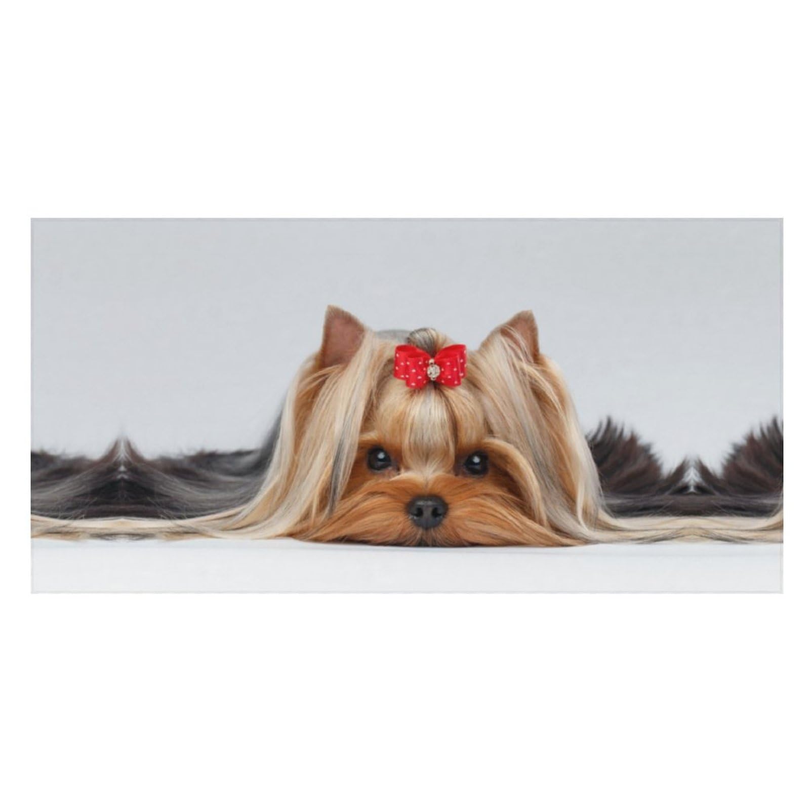 LWORZIIB Beach Towel, Yorkshire Terrier Bath Towel, Pool Towel Great for Gym Swimming 80 X 160cm