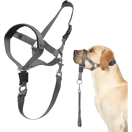 good2go head halter