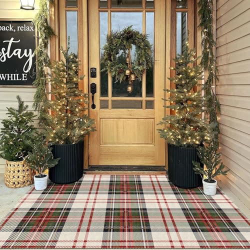 Othilic Christmas 3x5 Entry Rug - Small Washable Indoor Outdoor Mats for Front Door Non-Slip Porch...