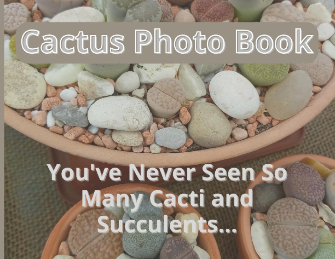 The Cactus Photo Book: You've Never Seen So Many Cacti and Succulents