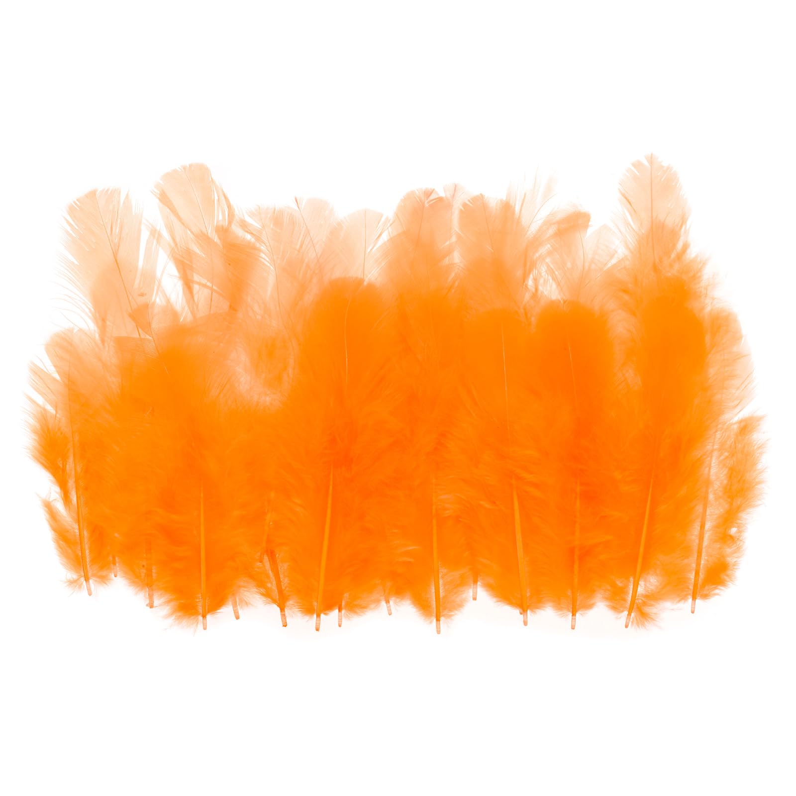 PATIKIL 1.5-3 Inch Saddle Hackle Rooster Feather
