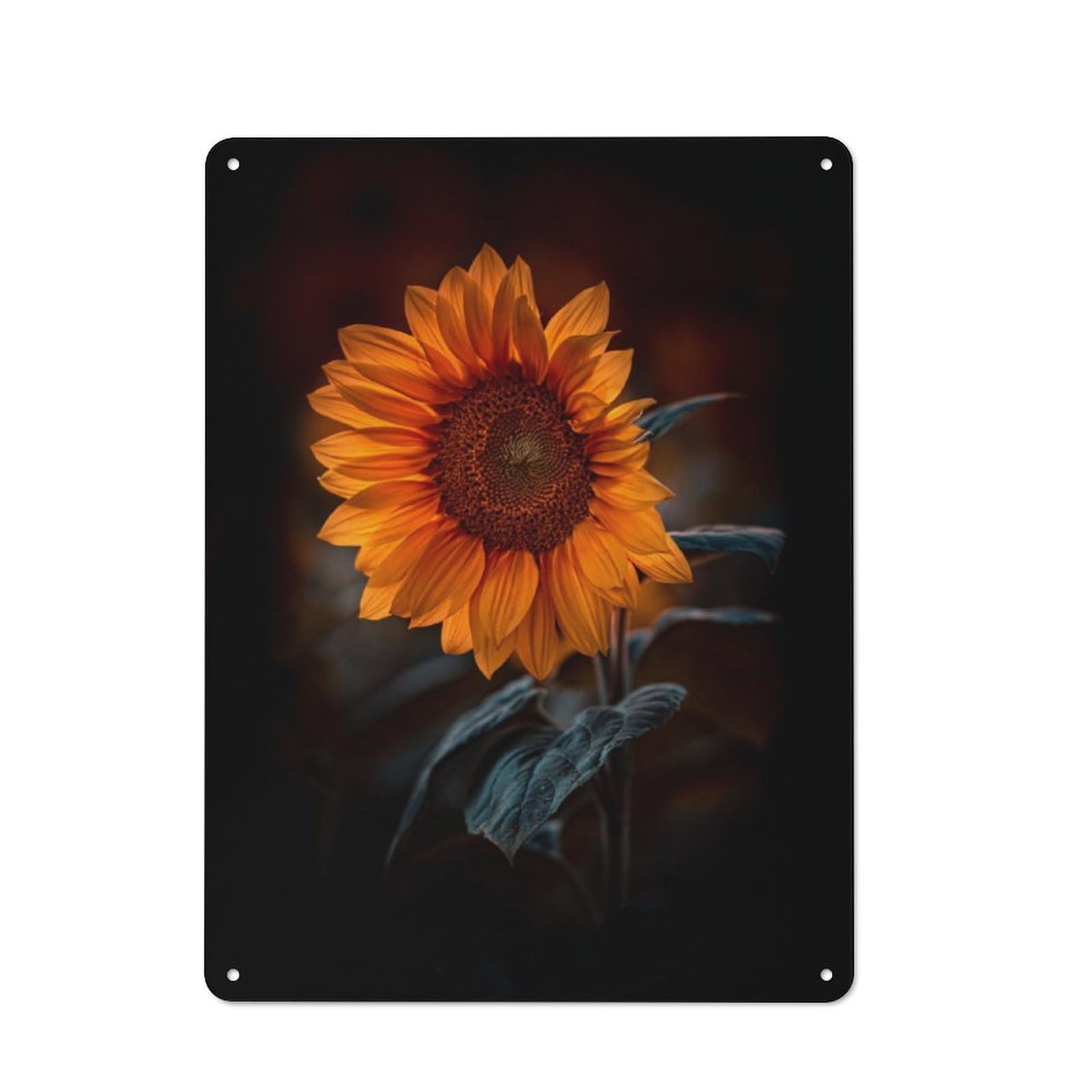 Junmoney Sunflower 3 Vintage-Inspired Tin Sign 40X30cm For Garage Or Workshop, For Garage, Workshop And Man Cave Decoration