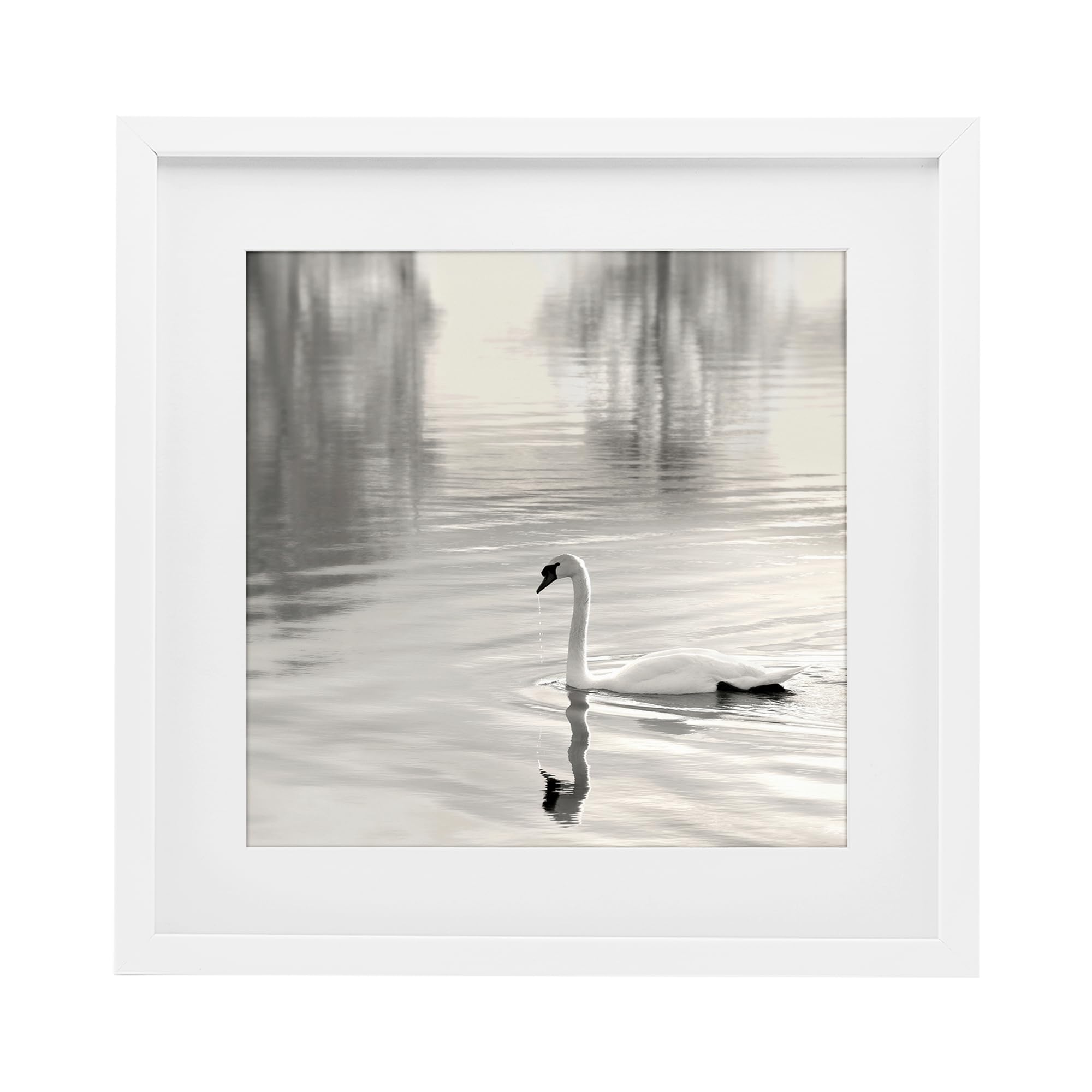 Stupell Industries Coastal White (Textured) 'Morning Sunlit Swan'| Framed Print Under Glass
