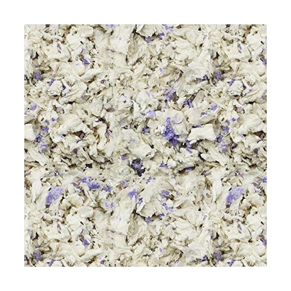 Kaytee clean & cozy lavender bedding for pet guinea pigs, rabbits, hamsters, gerbils, and chinchillas, 24. 6 liters - image 5