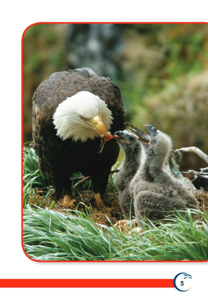 America's Eagle (TIME FOR KIDS(r) Nonfiction Readers) - Image 5