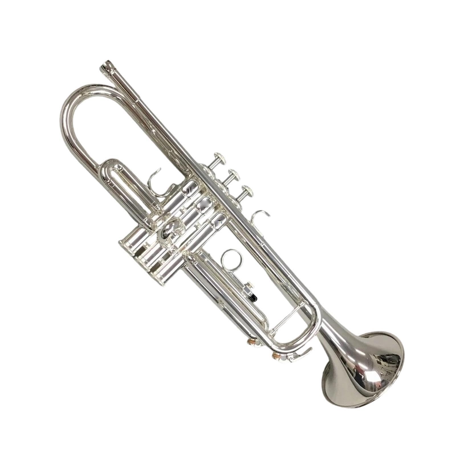 Standard Trumpet Trąbka B dla początkujących