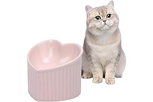 Heart Shaped Cat Bowl: Elevated, Ceramic Design for Digestive Health and Reduced Stress