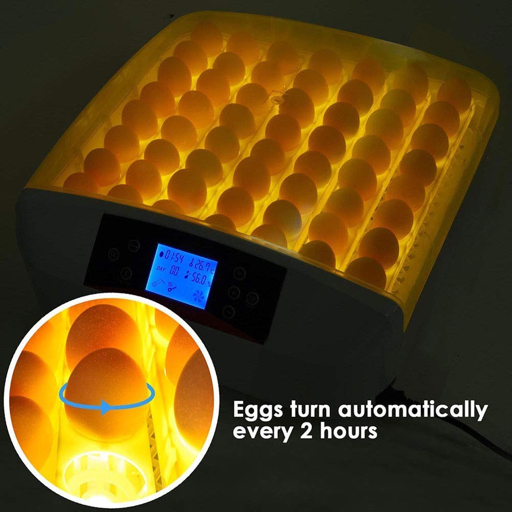 Inkubator 56 Eier Geflügelbrüter Digitale LED-Anzeigen Temperaturregelung Automatisches Wenden mit Licht für Hühner Enten Gänse Vögel