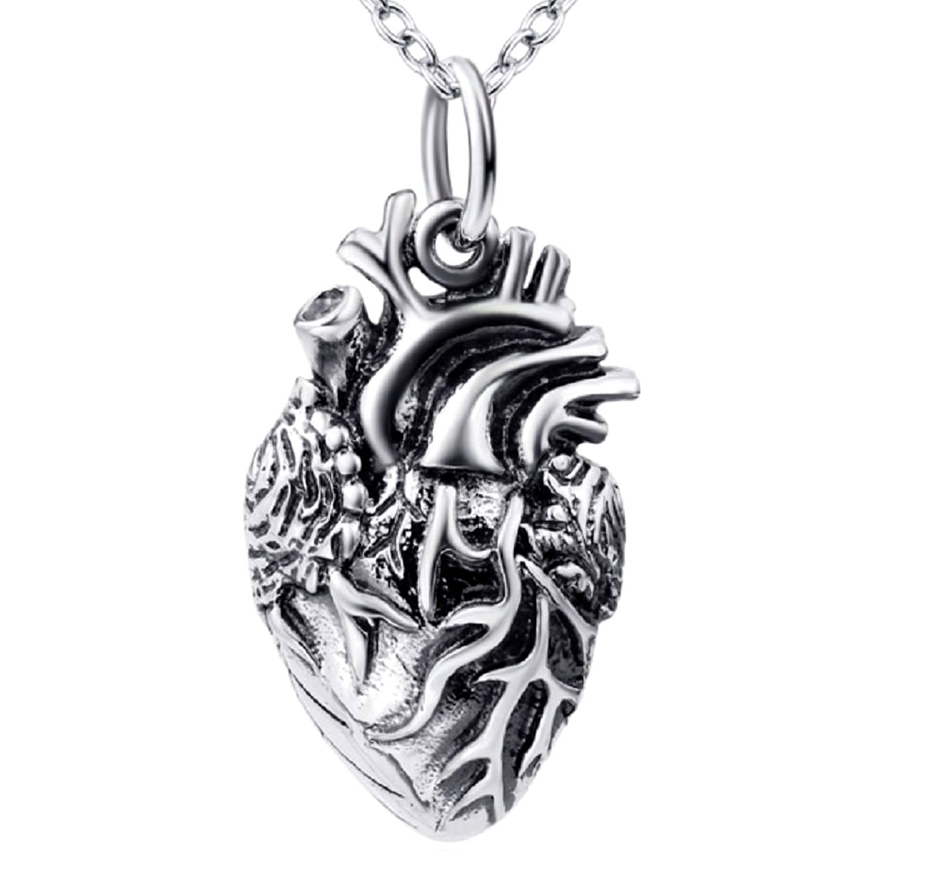 Cuore Anatomico Ciandolo con Collana in argento 925 | regalo perfetto per infermieri, medici, studenti, nerds | by Serebra Jewerly
