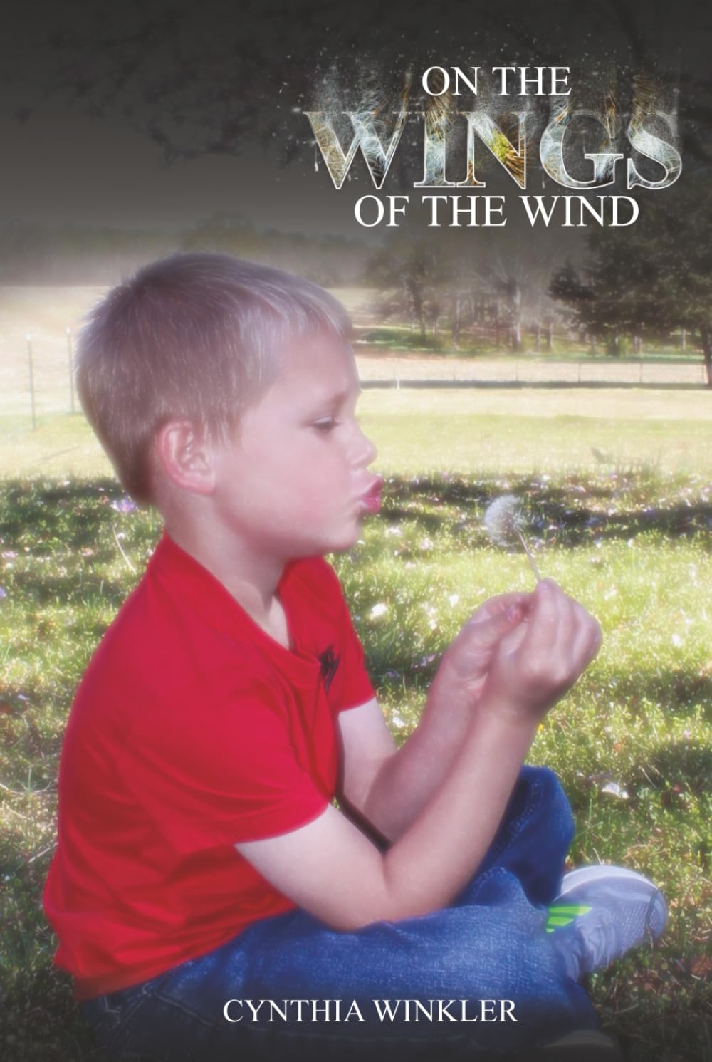 On the Wings of the Wind