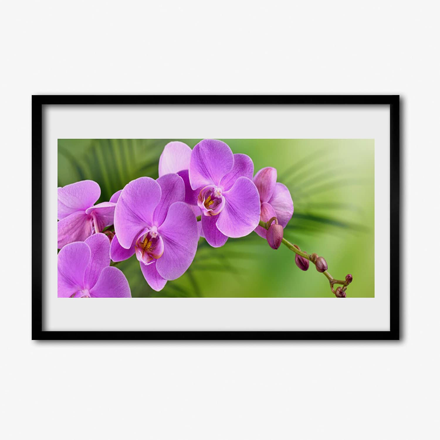 Affiche orchidée avec cadre 60x40 pour déco chambre et cuisine