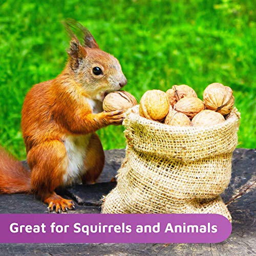 Oh! Nuts Raw Walnuts In Shell | Resealable 4-Lb. Bulk Bag For Ultimate Freshness | All-Natural, Whole Walnuts For A Healthy Vegan Snack | Ideal For Keto & Gluten-Free Diets | Full Of Protein & Omega 3 #TOP3