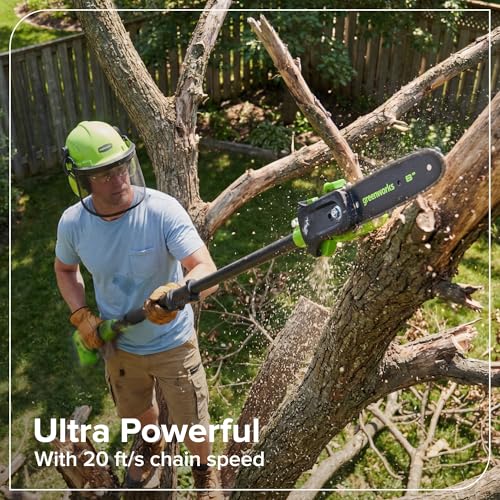 Image of Greenworks 24V 8 in Cordless Electric Pole Saw, Carrying Bag, Tool Only