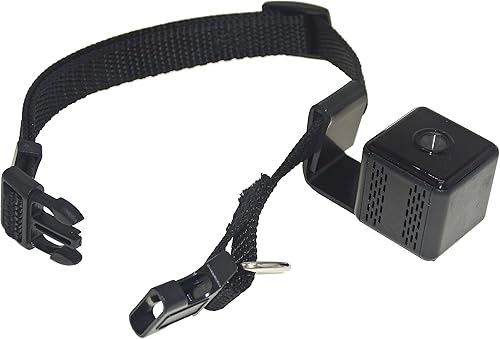 Collar digital para mascotas, 32 GB, cámara para perro, DVR, grabadora de video para perro, tamaño más grande, cachorro, negro (con tarjeta TF de 32