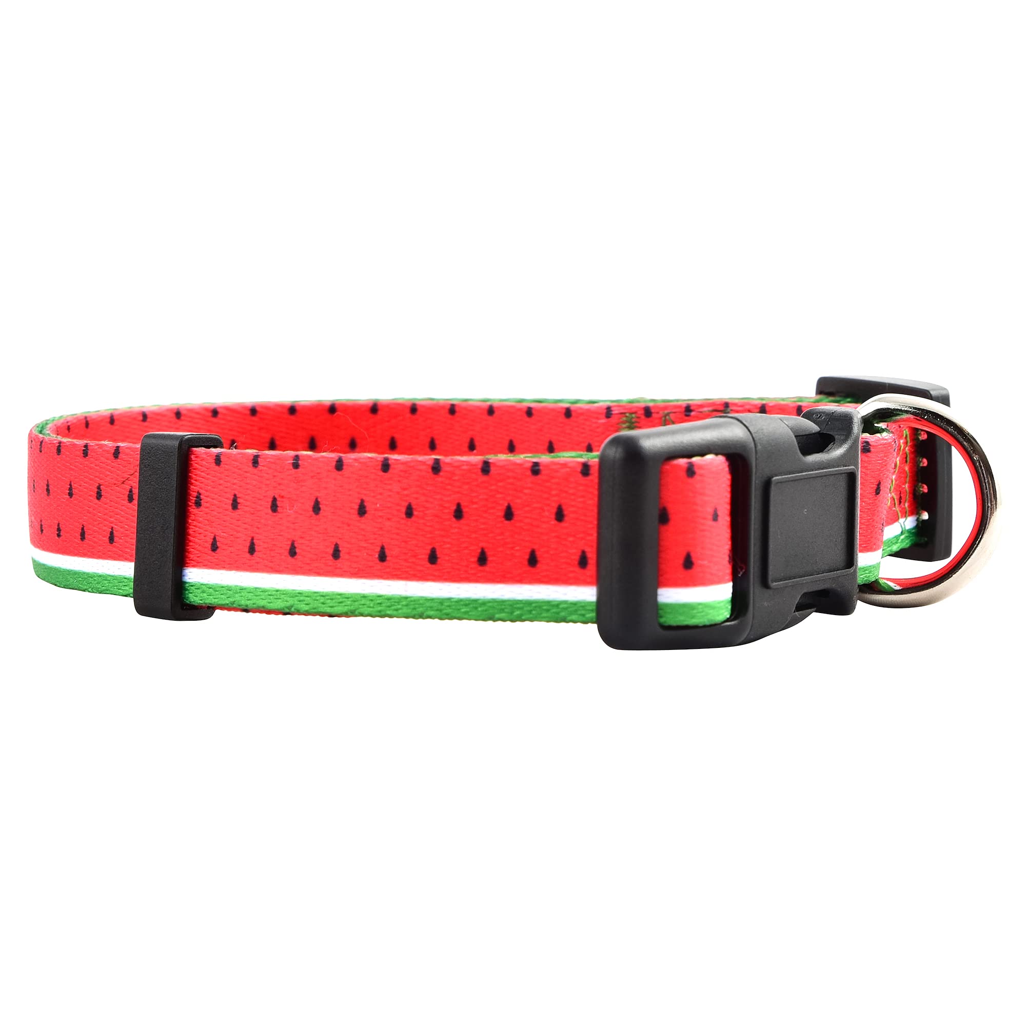 Native Pup Spring Dog Collars Cute Summer Designs for Girl and Boy (Watermelon, Large)