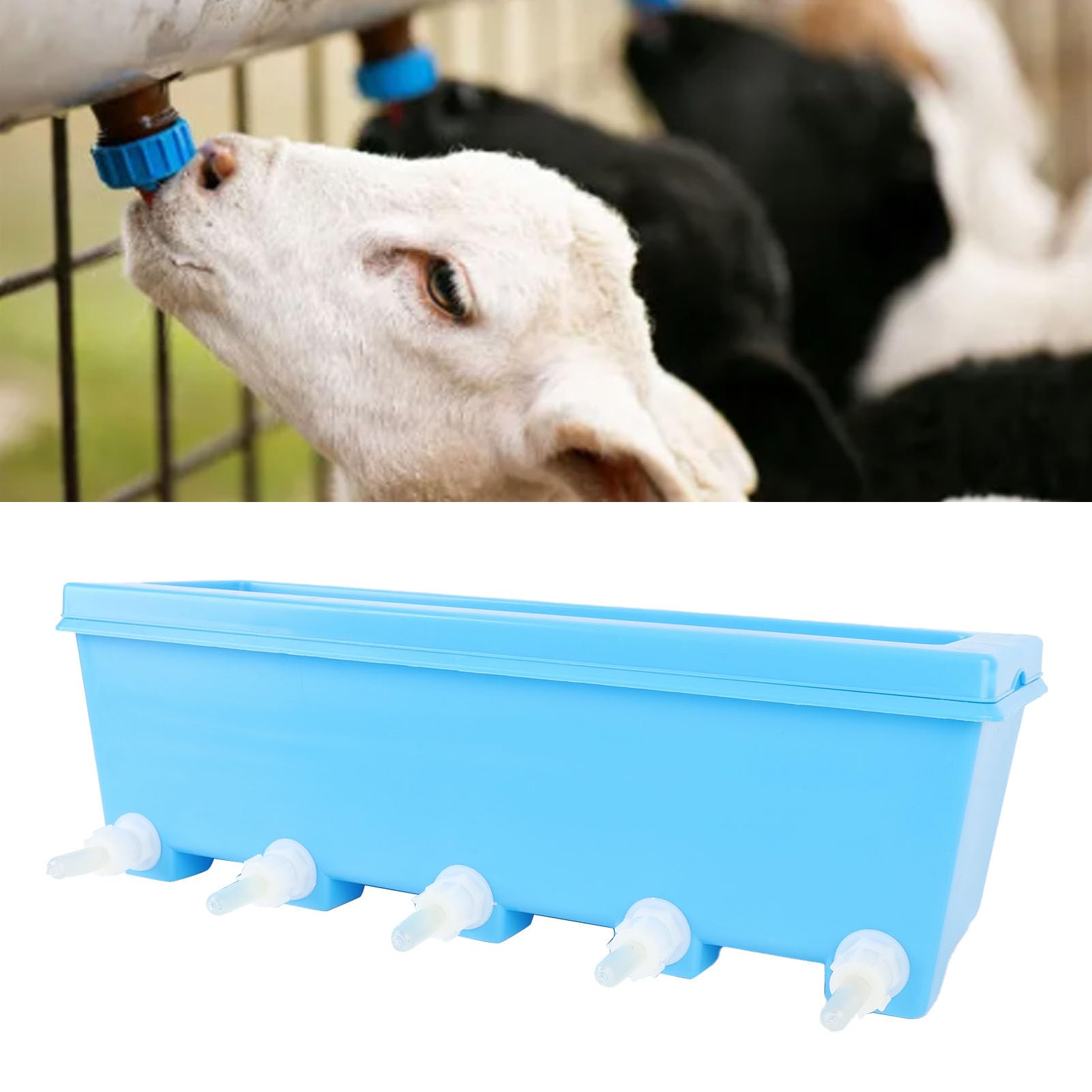 HEEPDD Small Animal Milk Feeder Piglet Puppy Baby Lamp Goat Milk Feeder with 5 Nipples Farm Drinking Equipment Pet Feeding Bucket Teats Lamb Feeder for Nursing Animal Lamb