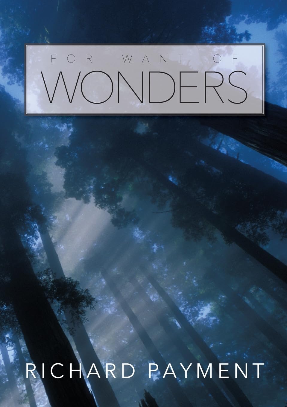 For Want of Wonders
