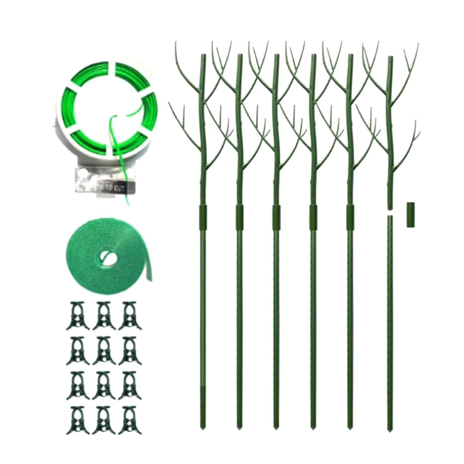 Tuteur Plante Gardening Essentials Choisissez Entre Un Paquet de Six ou Huit Barres de Support for Plantes d'une Longueur de Soixante-dix centimètres