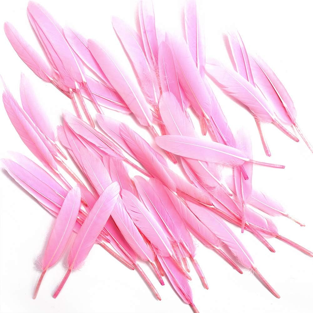 Feather for Crafts,250 Pcs Coloured Feather Striking Feathers for DIY Dream Catchers Natural Crafts Feathers for Wedding/Party/Decorations(3 Sizes) (Light Pink)