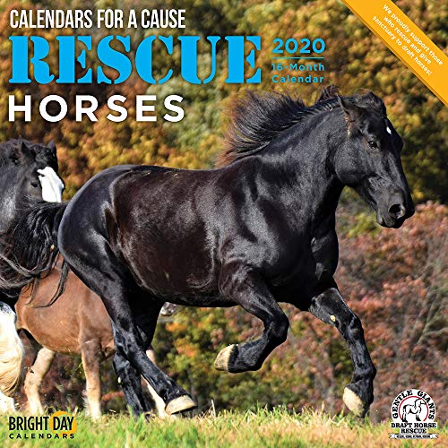 2020 Rescue Horses Wall Calendar by Bright Day, 16 Month 12 x 12