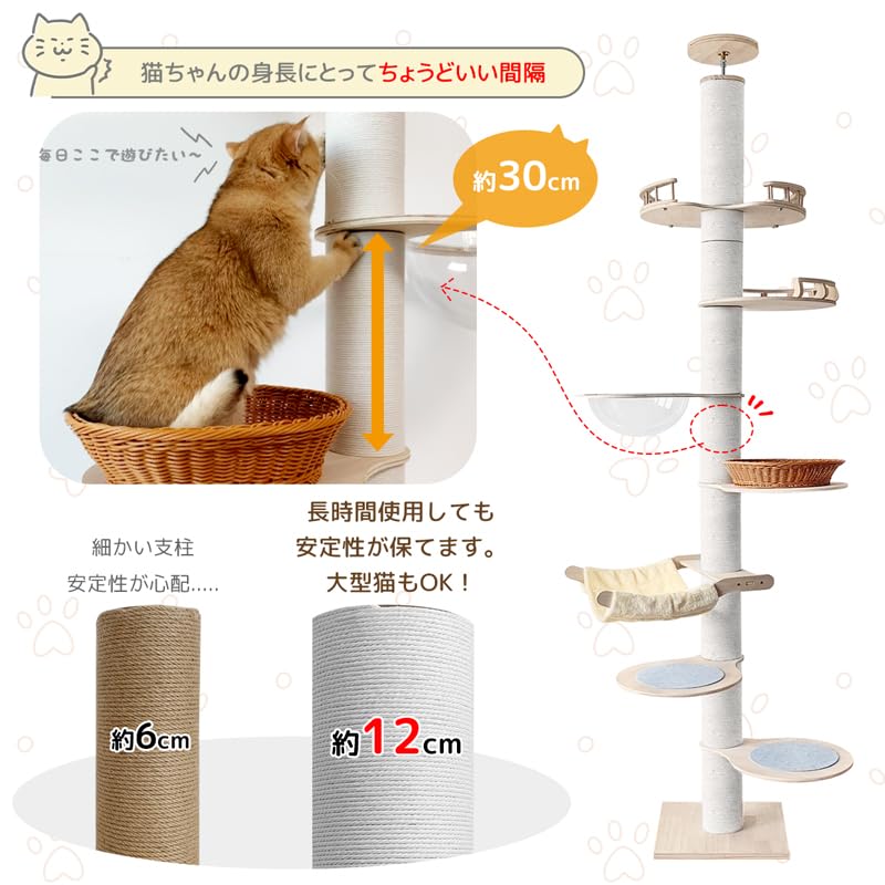 Amazon | 日本メーカー RAKU キャットタワー 突っ張り 宇宙船