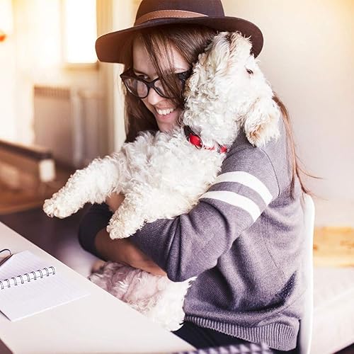 Miniatura 2 de BestPet Cochecito para mascotas, gato y perro, jaula de viaje, plegable, color rosa