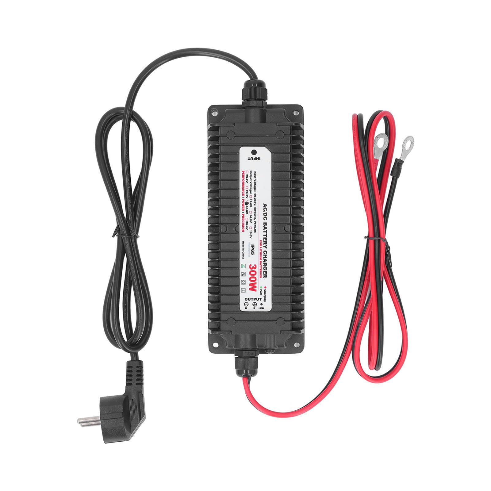Fafeicy Caricabatterie Al Litio Caricatore Caricatore Agli Ioni di Litio 43,8 V 6,7 A 300 W IP65 Impermeabile con Stato LED per Apparecchiature di Veicoli (Spina europea)